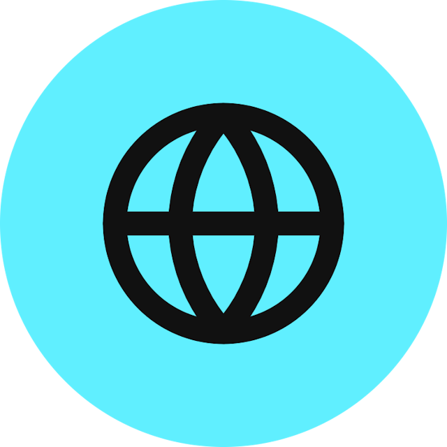 Globe icon for Portfolio logo
