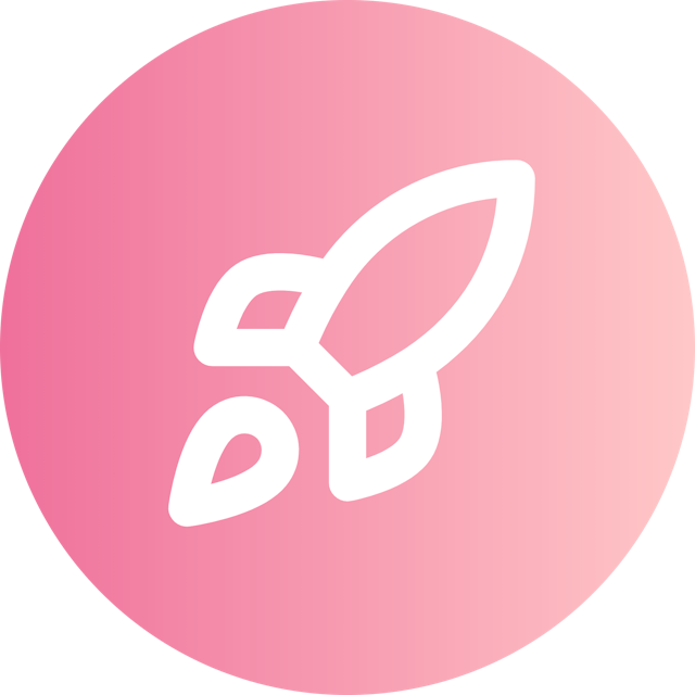 Rocket icon for Ecommerce logo