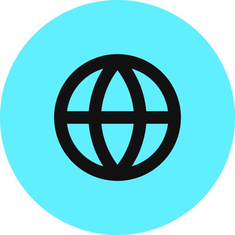 Globe icon for Portfolio logo
